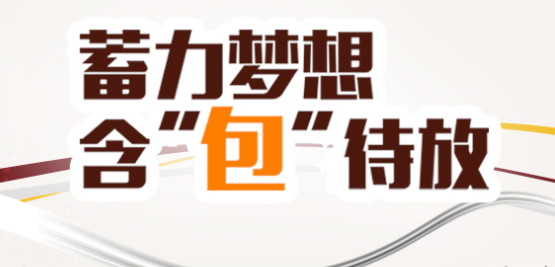 包商银行招聘系统管理员报名入口